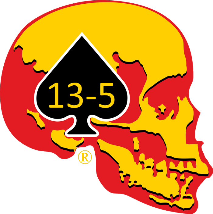 CVMA 13-5 skull logo